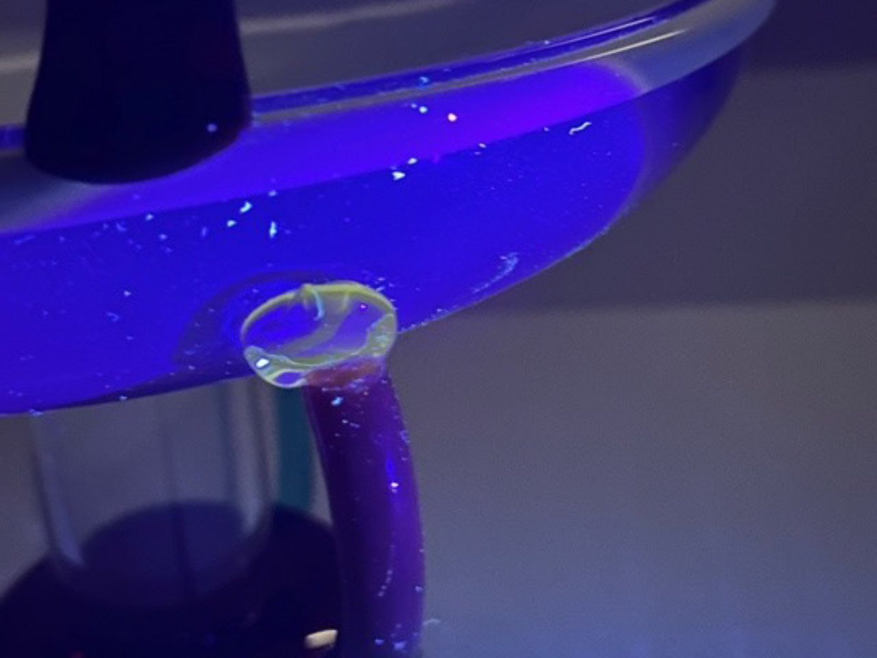 UV studio, Museum Boijmans van Beuningen   Foto M. Slager, 2025